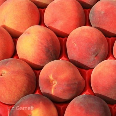 Display of peaches on market stall in France by Liz Garnett