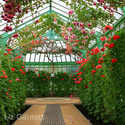 professional interiors photography by Liz Garnett of walkway in the glasshouses at the Royal Palace at Laeken, Brussels, Belgium